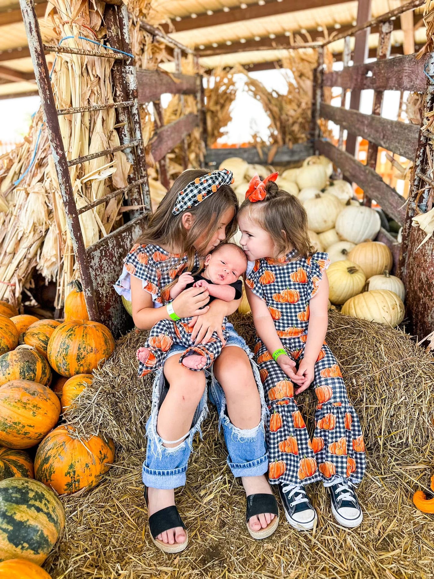 City Pumpkins