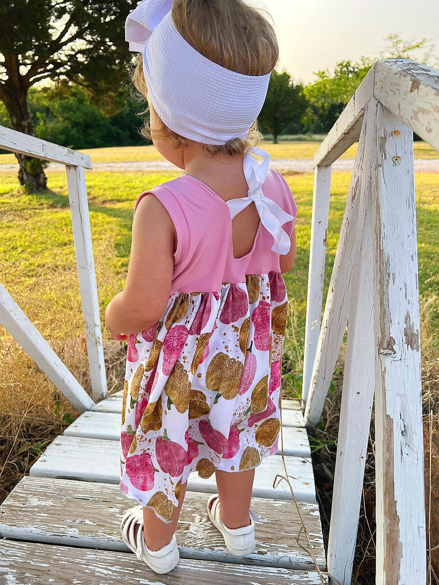 Cinderellas Pumpkins